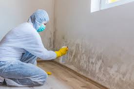 Why You Should Choose Our Mold Remediation Services in Greencastle, PA