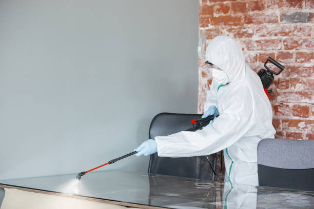 Greencastle, PA Mold Removal Company