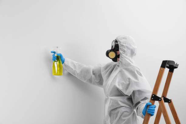 Best Mold Odor Removal Services in Greencastle, PA